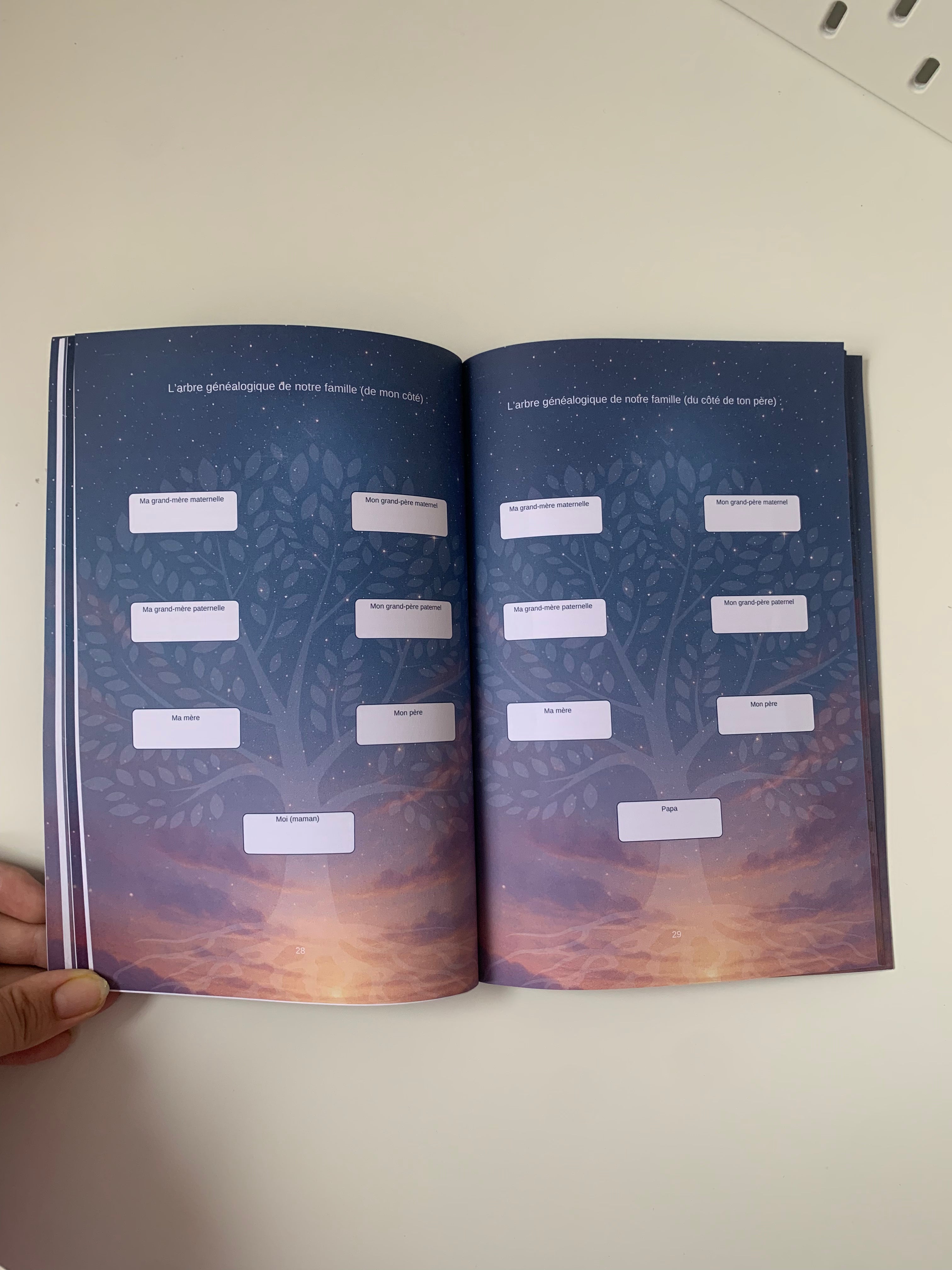 Livre héritage fille