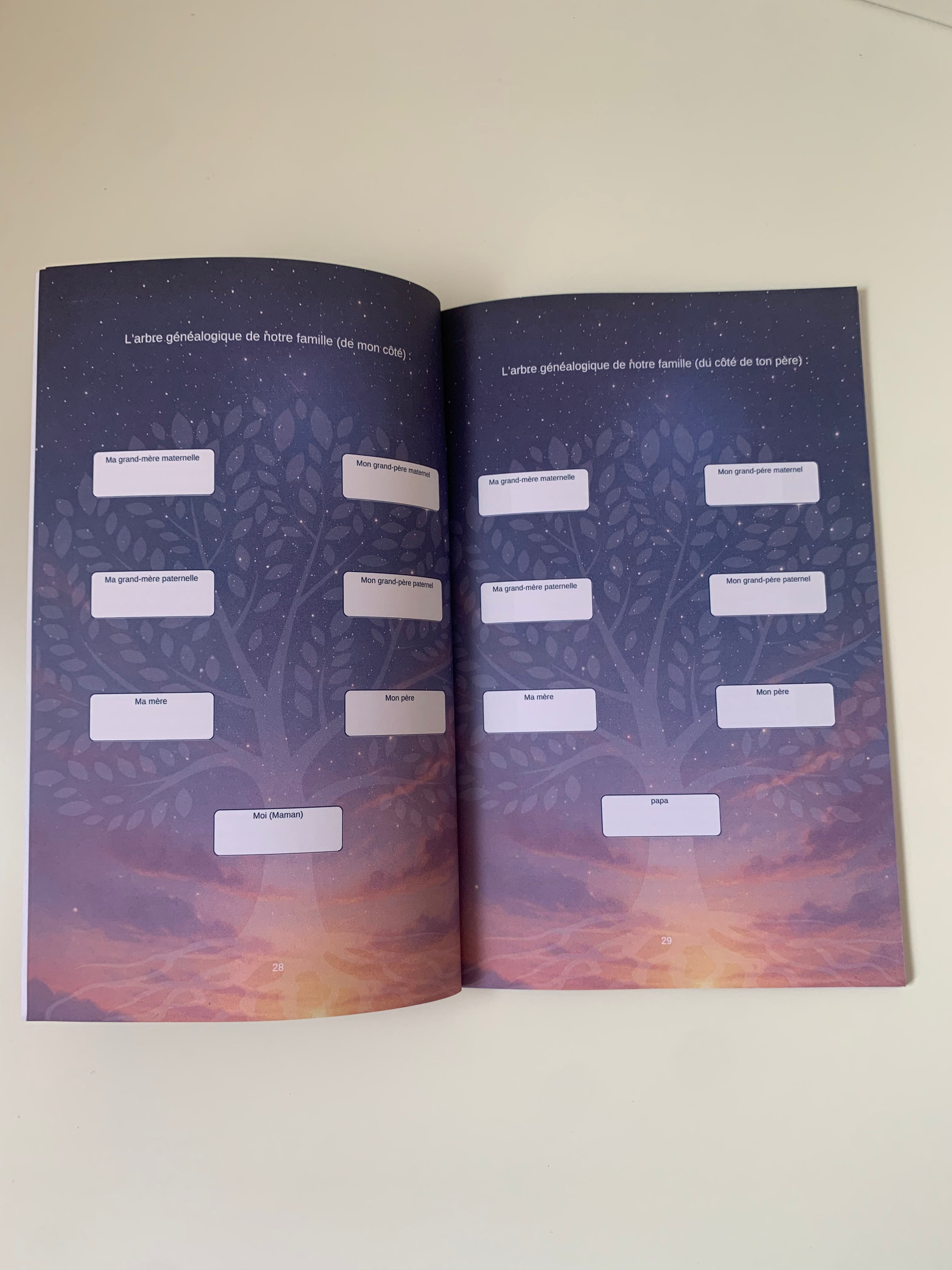 Livre héritage garçon